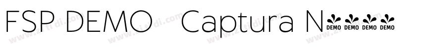 FSP DEMO   Captura N字体转换